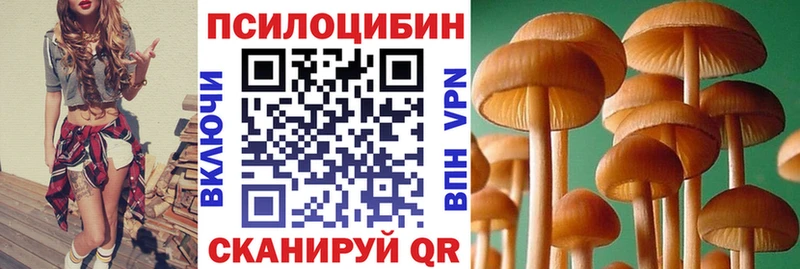 Псилоцибиновые грибы ЛСД  хочу   Шумиха 